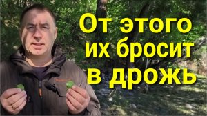 Как быстро поставить всех на место! Ваши враги прикусят свои языки