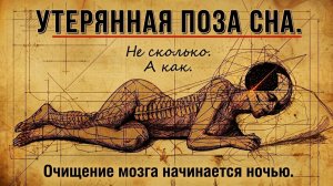 35. Древняя поза сна, которую наука наконец доказала | За Гранью Кода
