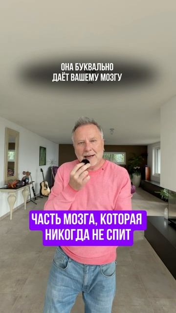 Часть мозга, которая никогда не спит 🔗