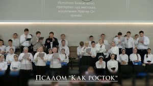 Псалом «Как росток»