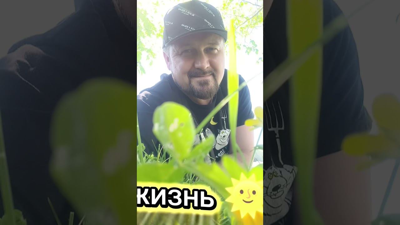 лето продолжается #михаилобрахцов#лето2026 #лето #летоэтомаленькаяжизнь