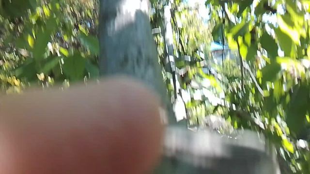 4655.mp4 смотреть онлайн