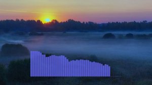 Вечно живые