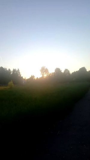 Влог
