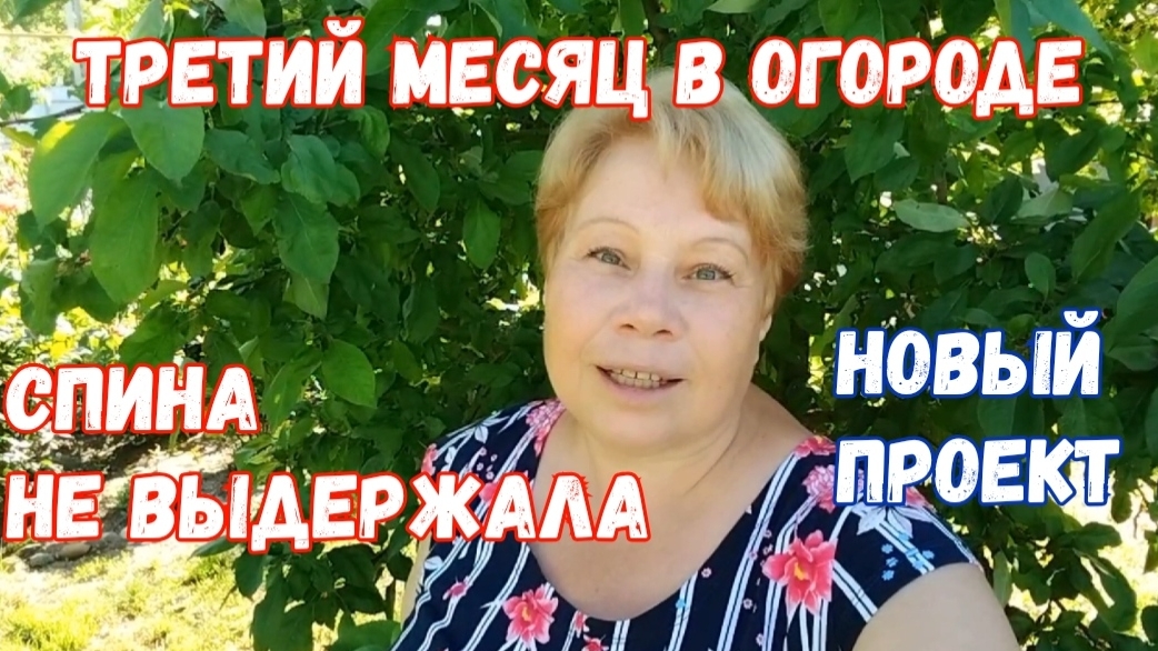 275🏡Спина не выдержала/Забила на траву/Новый проект/Розы впечатляют/Огурцов много смотреть онлайн