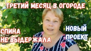275🏡Спина не выдержала/Забила на траву/Новый проект/Розы впечатляют/Огурцов много