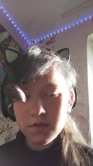 мяу мяу мяу мяу мяу мяу мяу мяу мяу мяу мяу мяу