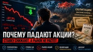Почему акции не растут даже при снижении ставки ЦБ? Разбираю свой портфель