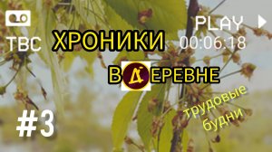 Хроники ВДЕРЕВНЕ: Трудовые будни. Серия 3 — Серп, потолок и дикая слива | ВДЕРЕВНЕ Shop