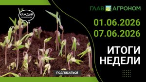 Итоги недели с ГлавАгроном 01.06.2026 - 07.06.2026