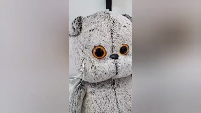 знакомство с басиком смотреть онлайн