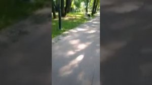 обзор на парк 1