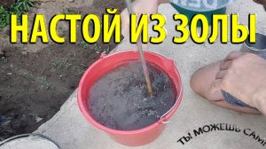 Как приготовить НАСТОЙ из ЗОЛЫ для подкормки