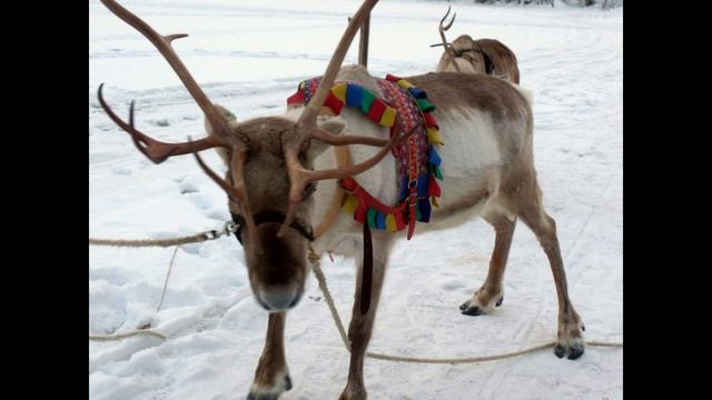Поездки на выходные