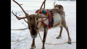 2016_12_30-2017_01_06_Новый год в Такхо