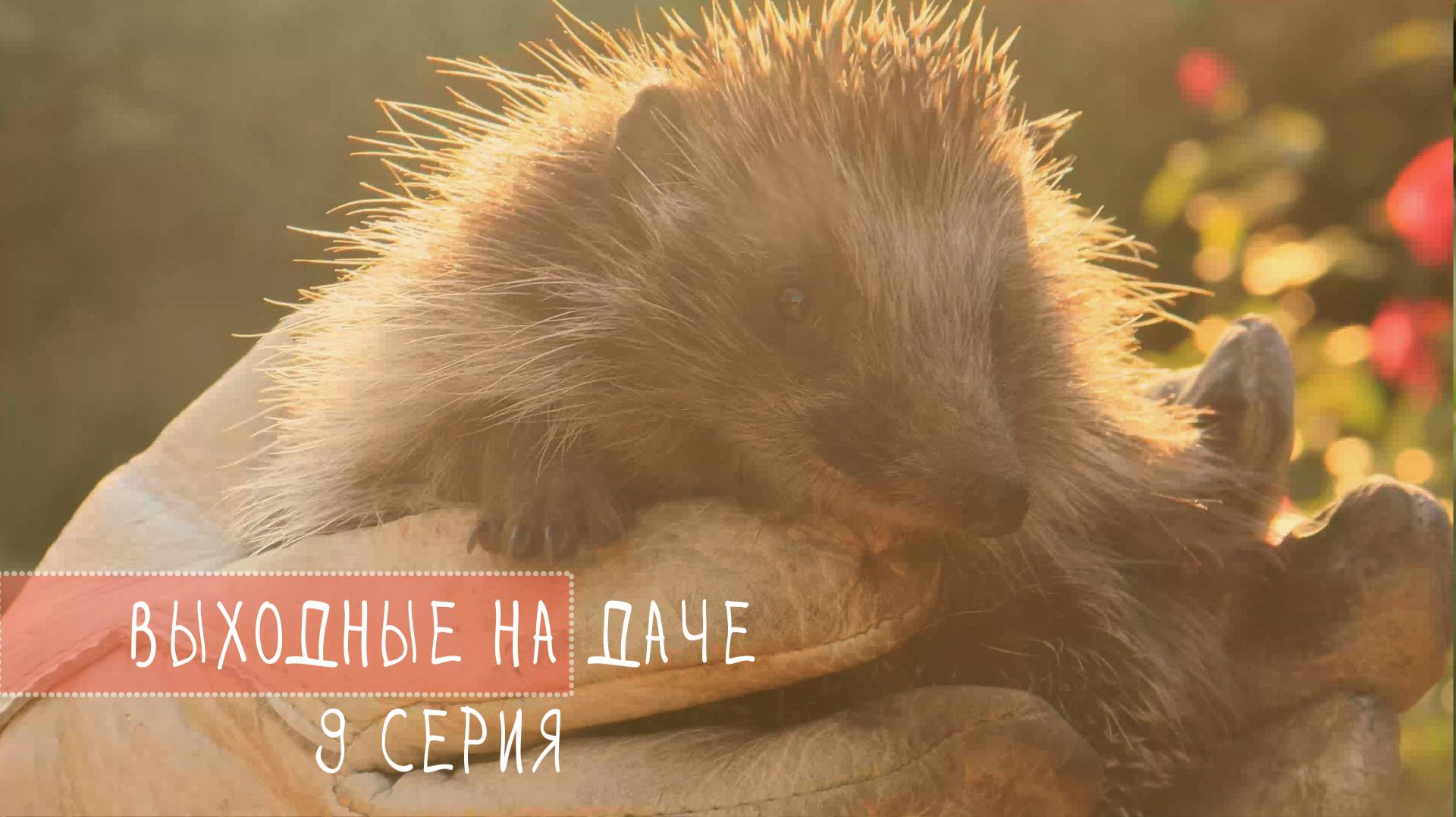 выходные на ДАЧЕ 9 серия