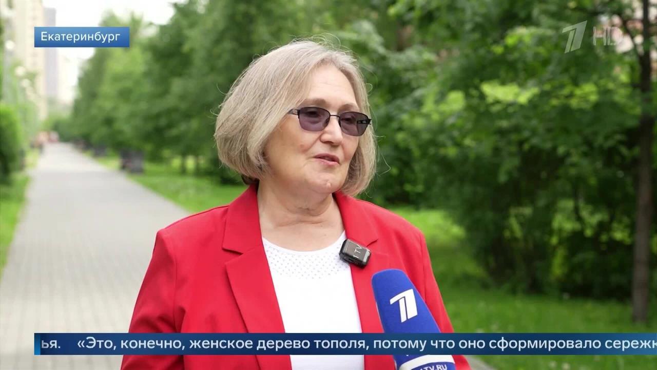 Сугробы из пуха: эксперт объяснила, почему городу необходимы тополя. смотреть онлайн