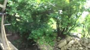как правильно копать колодцы в камне первый день разведка