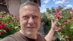 Жизнь вне орхидей. влюбился в ИСПАНКУ и что буду сегодня НА ДНЮХУ готовить