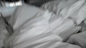 video_1779260952206