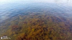 Керчь, 7 июня 2026,на утинке пенсионеры с шести утра в море мокнут.
