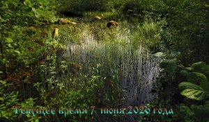 Текущее время 7  июня 2026 года