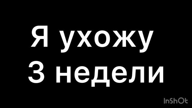 Я ухожу на 3 недели смотреть онлайн