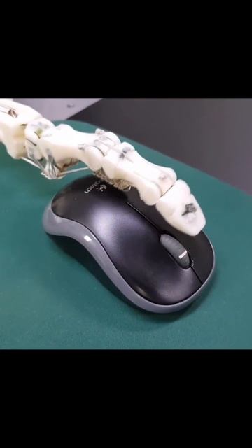 Механическая рука Fllex Hand V2
#роботы #новости #робототехника смотреть онлайн