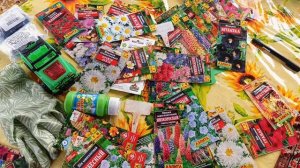 песочница, картошка, цветочки. дачный влог.