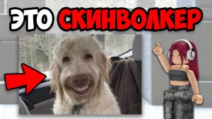 САМЫЕ ЖУТКИЕ ТИК ТОКИ СО СКИНВОЛКЕРАМИ (4 часть)