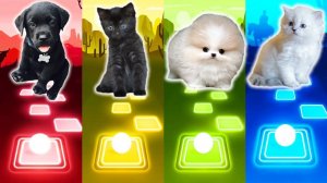 Мультик для детей. Баттл: Милые Псы, Коты, Беби Шарк, Shakira Waka Waka. Tiles Hop
