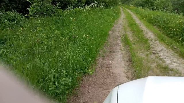 Роеловство, старая дорога, поймал рой в ловушку, рыба в тазике...🤣🤣🤣 смотреть онлайн