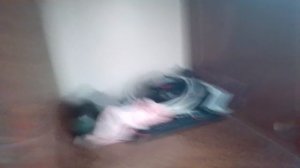 1780809306158