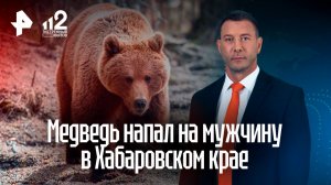 Разгуливавший по поселку медведь напал на мужчину в Хабаровском крае