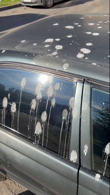 Автотема