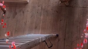 1000061205.mp4 (Собака слушает об укладке пола из листов фанеры на 2-ом этаже в доме А-фрейм)