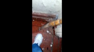 Бизнес в подвале: ЗОЛОТАЯ ЖИЛА или ПОЛНЫЙ ПРОВАЛ? 📉 Смотрим убитый цоколь под растения 🥀
