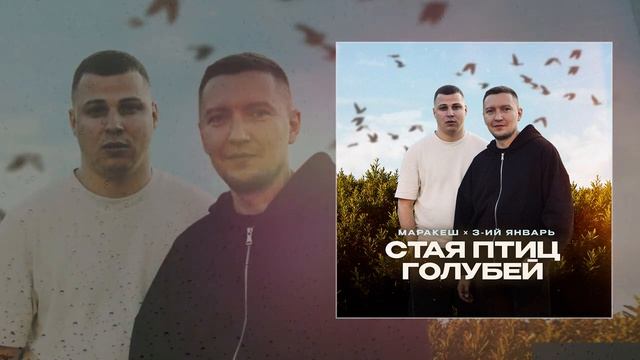 3-ий Январь Маракеш - Стая птиц голубей Официальная премьера трека