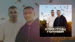 3-ий Январь Маракеш - Стая птиц голубей Официальная премьера трека