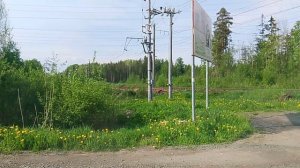 Электропоезда эт2м-081