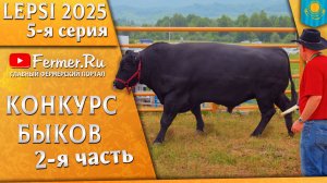 🐂🐃Джеймс Бонд против Маркиза. Ангус против Герефорд Международная выставка Lepsi2025 Конкурс быков