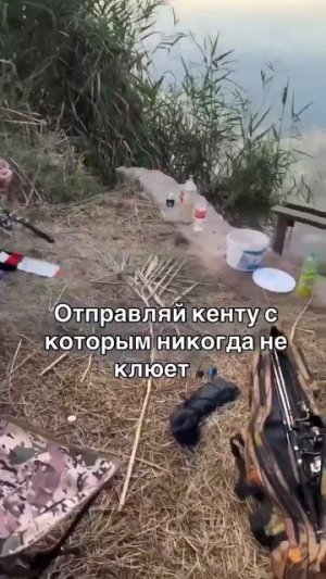 Клип @zatropheem