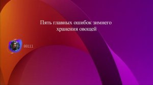 Пять главных ошибок зимнего хранения овощей