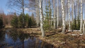 Воскресное собрание 31.05.2026