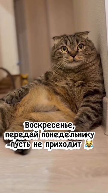 07-06-2026 смотреть онлайн