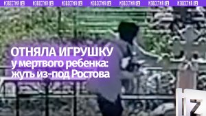 Забрала игрушку с могилы ребенка — жуть в Ростовской области