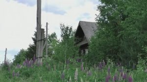 Юрий Старцев Родительский дом