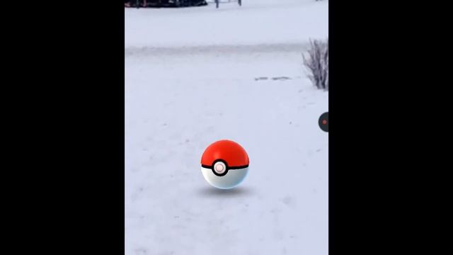 Pokemon GO (Android) AR+ заработал! Ловлю покемона у ёлки на центральной площади города Семилуки