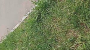 @пажар на улице кувыкено 3