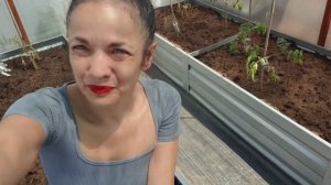 Убираем в теплице, ставим грядку! Много посадила! Как хорошо работать всей семьёй!
